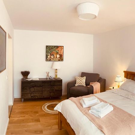 Warm And Cozy Studio Flat Near Straja Uricani  외부 사진