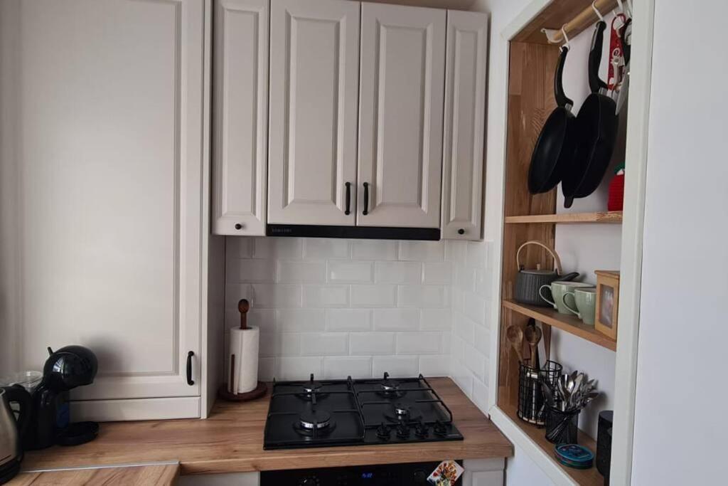 Warm And Cozy Studio Flat Near Straja Uricani  외부 사진