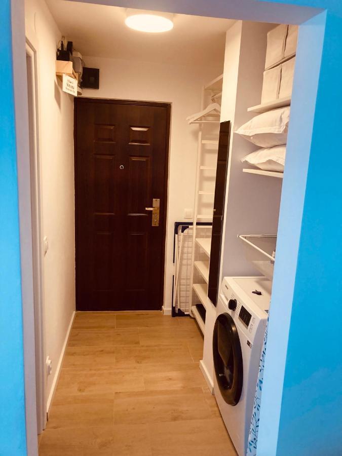 Warm And Cozy Studio Flat Near Straja Uricani  외부 사진